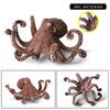 Oenux Marine Molluscs Model Simulation Squid Octopus Growth Cycle Action Figure Sealife Animals Education Collection Kids Toy