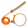 Perros – Collares y correas