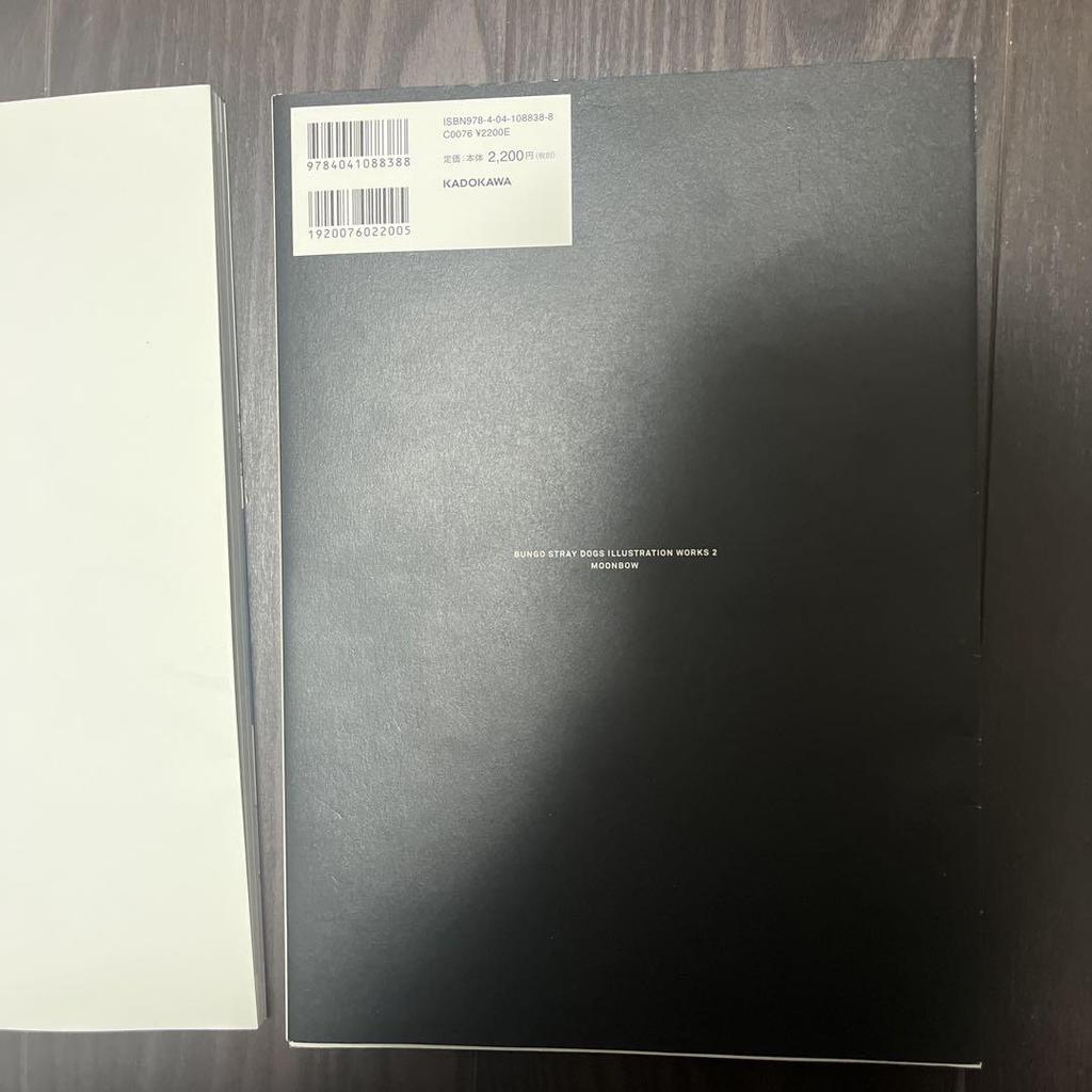 [USED] Bungo Stray Dogs Art Book