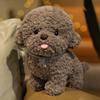 Stuffed Animal Plush Dog Toy Simulation Puppy Plushies Bichon Frise Plush  Xmas Birthday Gifts