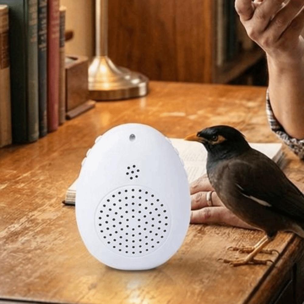 Playback Parrot Teach Talking Recording Bird Repeater Portable Bird Learning Machine  Bird Training