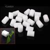 20Pcs White Clone Cloning Collar Foam Insert Hydroponic Root Guard Mesh Pot 25mm