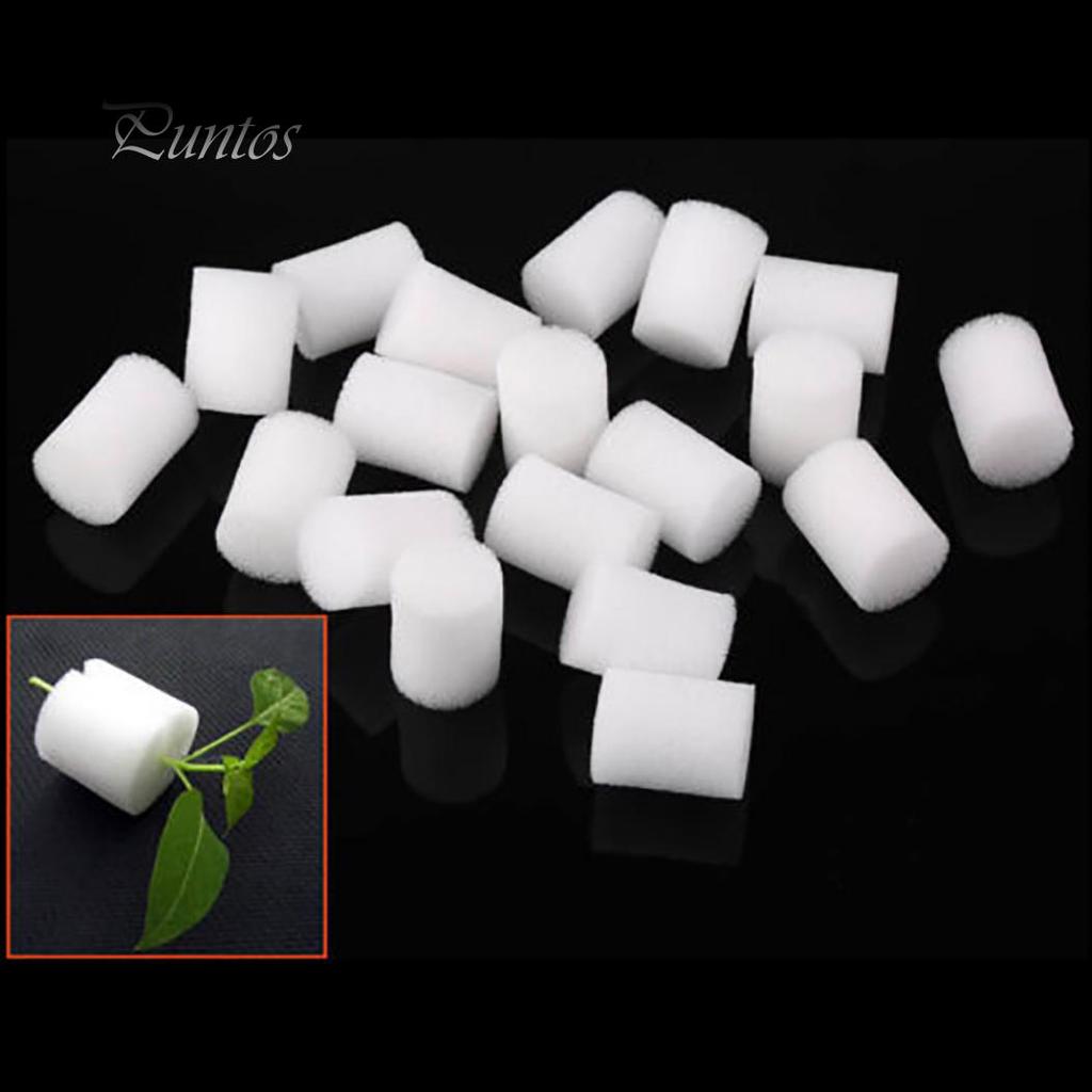20Pcs White Clone Cloning Collar Foam Insert Hydroponic Root Guard Mesh Pot 25mm