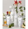 LABO-H Hair Loss Relief Scalp Strengthening Shampoo Pear & Freesia 400ml
