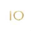 Luxenter Earrings and 18k Gold Plated - Nias