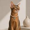 Water Droplet Pendant Dog Necklace Adjustable Cat Collar Pet Jewelry Cat Dog Choker  Kitten