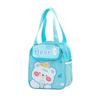 Insulated Lunch Bag Cartoon Design Portable Handheld Thermal Food Storage Cooler Bag for Work School Travel with Mesh Side Pocket and Zipper Closure