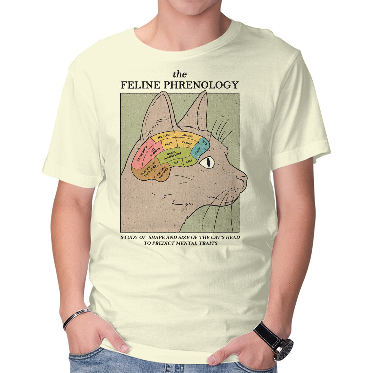 Unisex Crew Neck T-Shirt Feline Phrenology Graphic Short Sleeve Casual Tee XXL