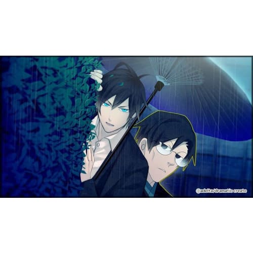 hashihime of the used bookstore district - switch