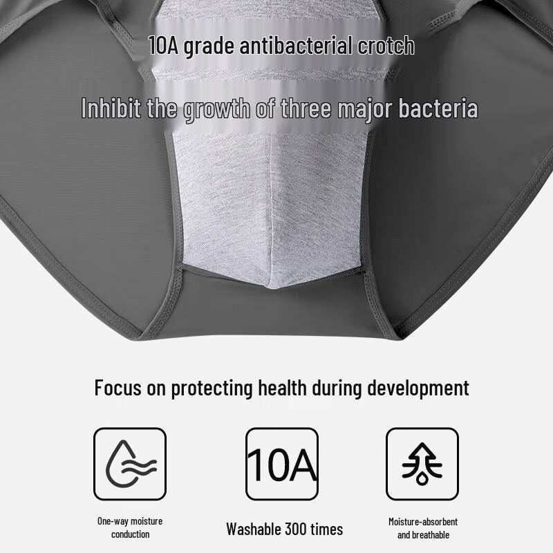 Xue Zhong Fei Men's Ice Silk Breathable Briefs 4-Pack