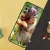 Squirrel Cute Animals Case For Oppo A60 A80 A40 A15 A16 A17 A57 A94 A74 A54 A76 A96 A18 A38 A58 A78 A98 A5 A6 Pro