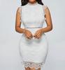 Sleeveless Lace Bodycon Dress High Neck Mini Dress Fitted Clubwear Elegant Party Dress with Scalloped Hem and Sheer Lace Details