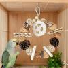 1 Stück Runde Vogelschaukel Spielzeug Nuss Kiefernzapfen Greifen Beißen Spielzeug Ständer Zähne schleifen Hängende Kauspielzeuge für Haustier Vogel Papageienkäfig Dekor