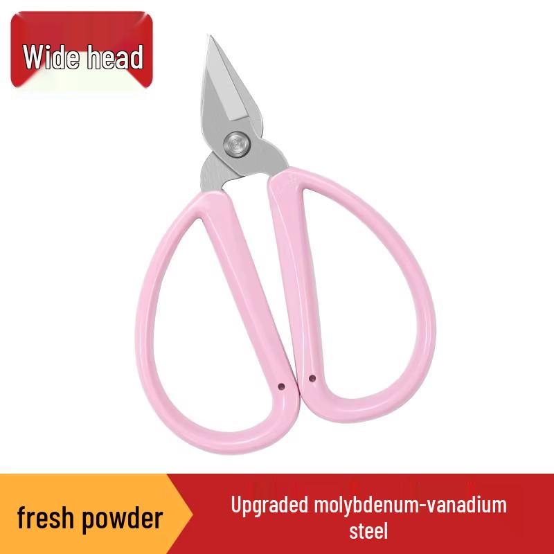 Alloy Stainless Steel Toenail & Manicure Scissors Set: Powerful Ingrown Nail and Inflammation Clipper.