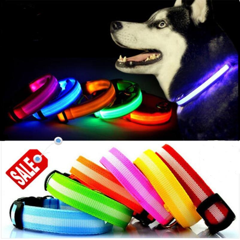 Buy AntiLost LED Illuminated Dog Collar Pet Products Walking Dog at