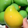 Color Changing Mango Squishy Toy Simulation Mango Decompression Toy New Pinching Toy  Stress Relief