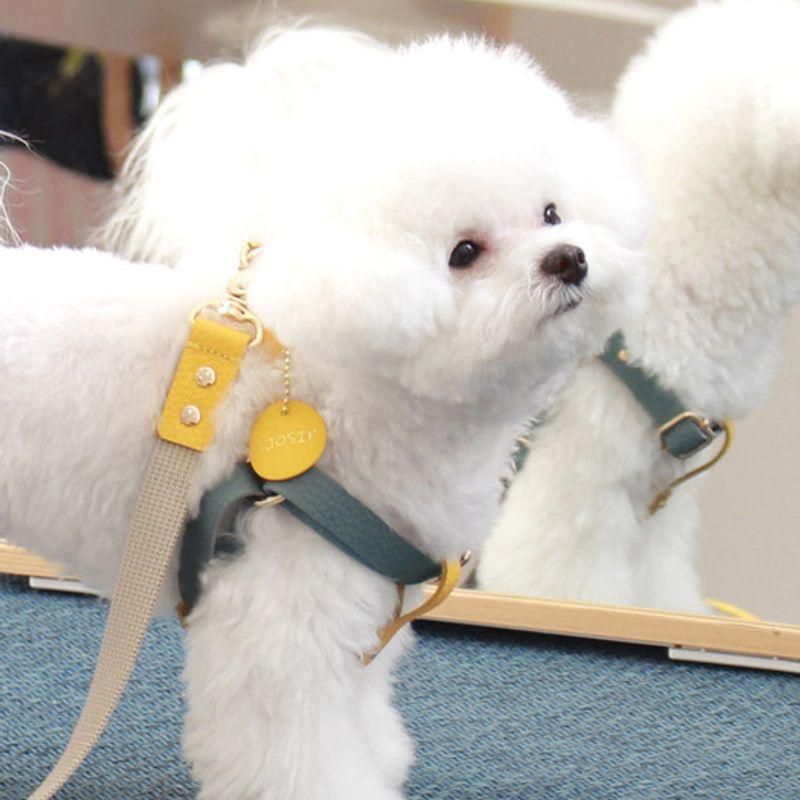 MAISON DE MIU Running Mate Harness_Indian Blue/Yellow