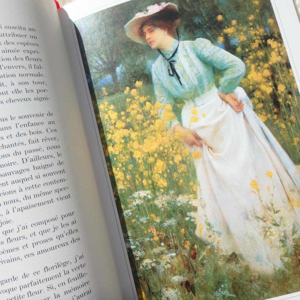 [USED] Le Langage des Fleaurs Sauvages: The language of flowers in French