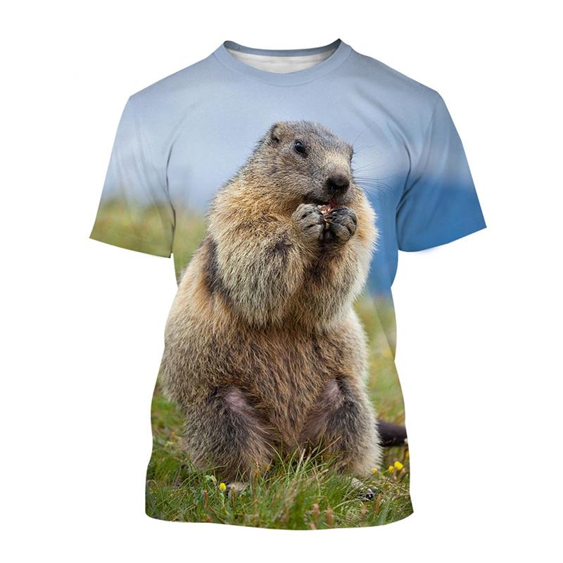 Cute Animal Groundhog 3d Printing T Shirt For Men Kids Casual Street Short-sleeved T-shirt Tops Summer Street Oversized Tees