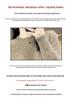 Women's Solid Color Wool Knit Sweater: Round Neck, Cashmere, Jacquard, Autumn/Winter Pullover