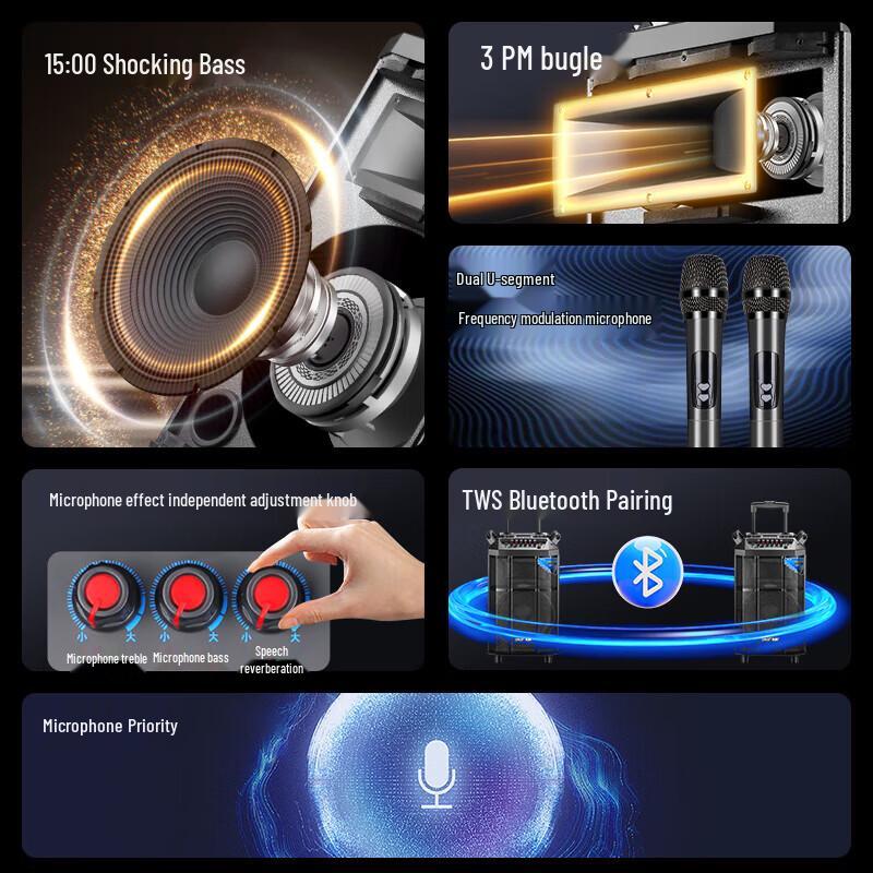 SAST SA-165 15-inch Portable Bluetooth Speaker CN plug (adapter included)