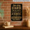 2D Flat, 1pc Czech Slogan Tin Sign 7.87x11.81inch | Aluminum Metal Wall Art | Vintage Style Decor for Home, Restaurant, Cafe, Bar, Garage | Funny