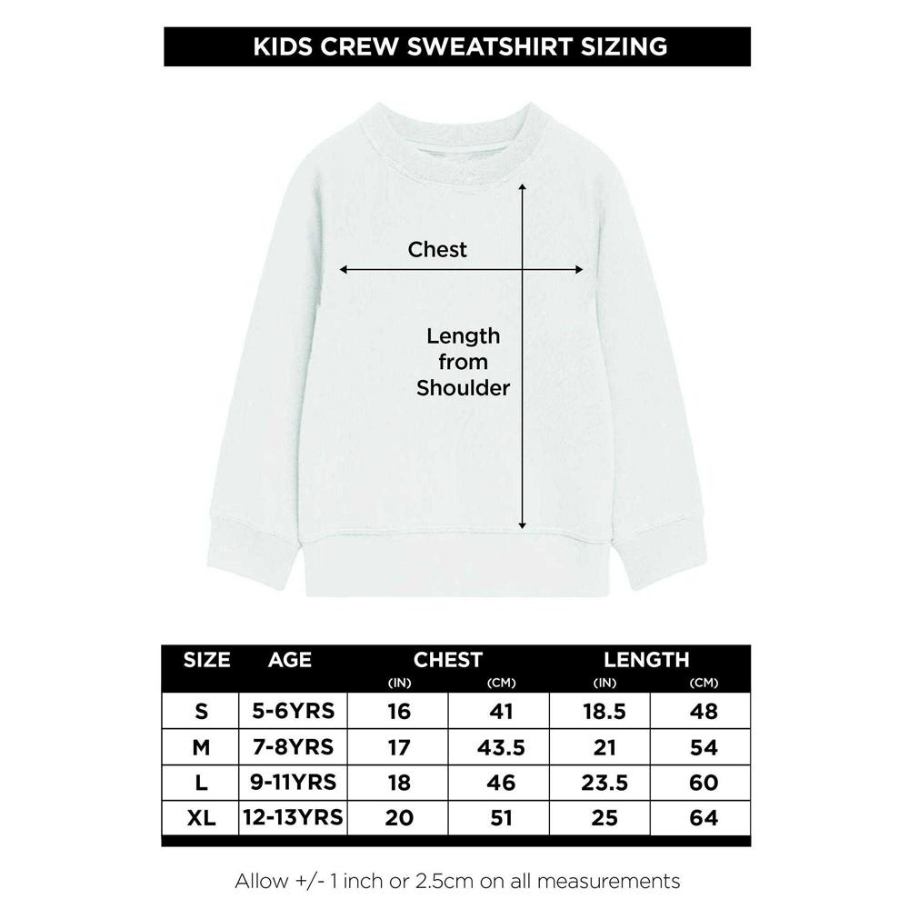 Cinderella Childrens/Kids Magic Begins Within Sweatshirt