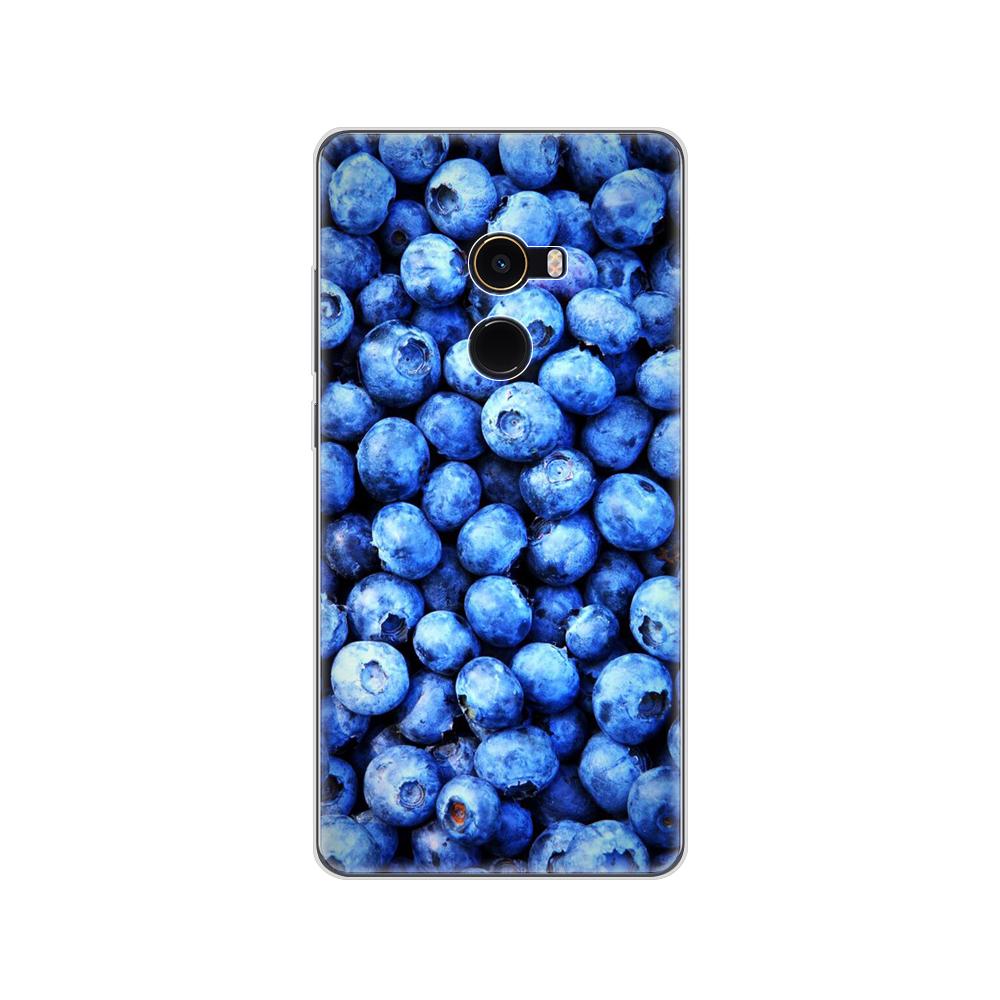 Měkké silikonové pouzdro TPU pro Xiaomi Mix 2 pouzdro pro Xiaomi Mi Mix 2 Mix2 zadní kryt 360 plný ochranný transparentní coque