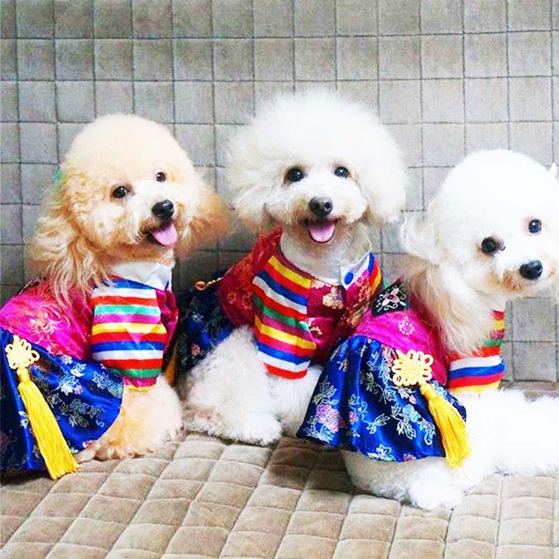 Korean Traditional Hanbok Pet Outfit With Embroidery Silk Dress Pants Dogs Cats Small Pets