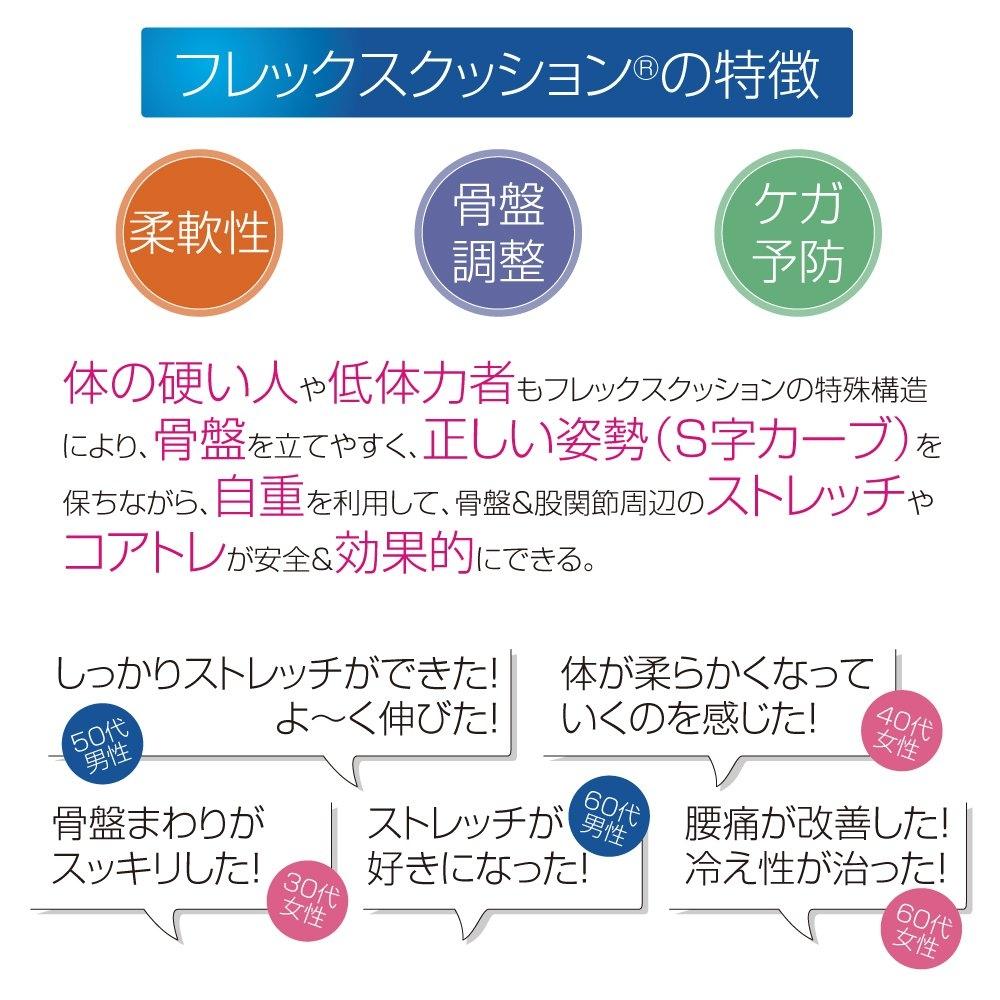 Sante Plus Flex Cushion (Black) FC-A402K Black