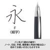 PILOT Capless Fountain Wooden Fine Nib 18K Gold Nib Pen, Barrel, (F), Black, FC25SKBF,