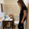 Cães – Cuidados de cães