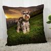 Pillow Cover Customize Schnauzer Pillow Case Modern Home Decorative Pillowcase For Living Room 45X45Cm,40X40Cm A.4.29