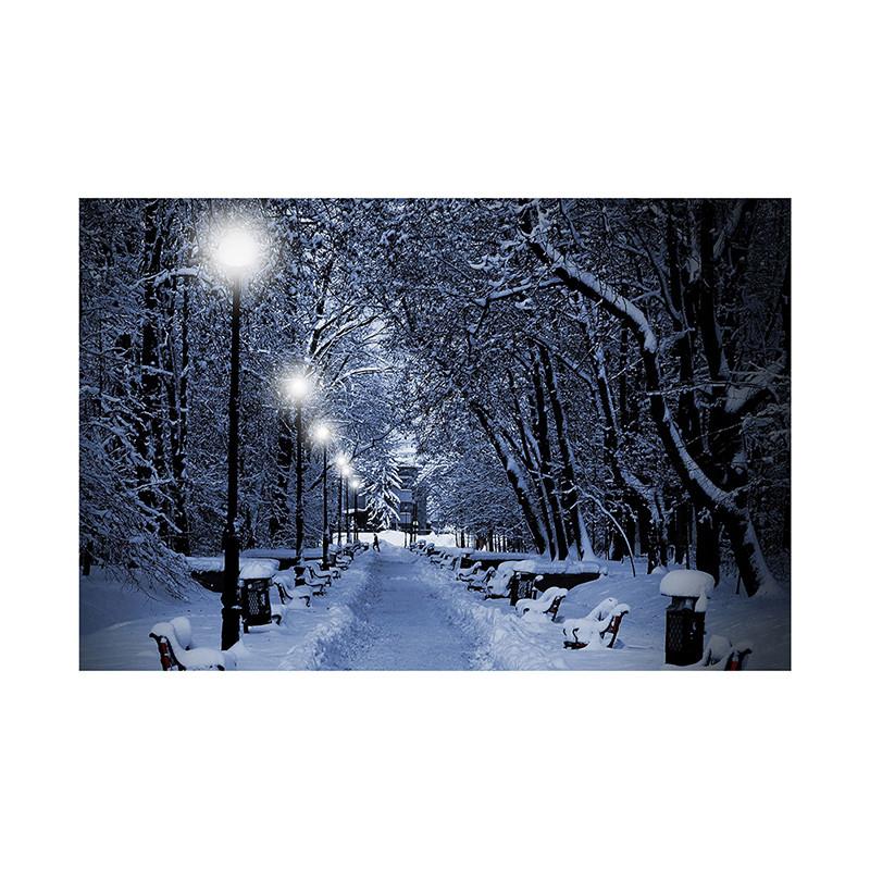 Winter Wonderland Themed Background,Christmas Photography Backdrop,for Parties and Holiday Photography Backdrops,Photo Studio