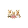 Sylvanian Families Kangaroo Family Doll Set 3+ Years Old Toy for Dollhouse EPOCH