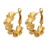 Geometric Pleated Texture Gold-Plated Titanium Earrings
