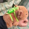 Capybara Pappa Plush Toy - Panda, Fox, Raccoon & Rabbit Velvet Stuffed Animal Doll