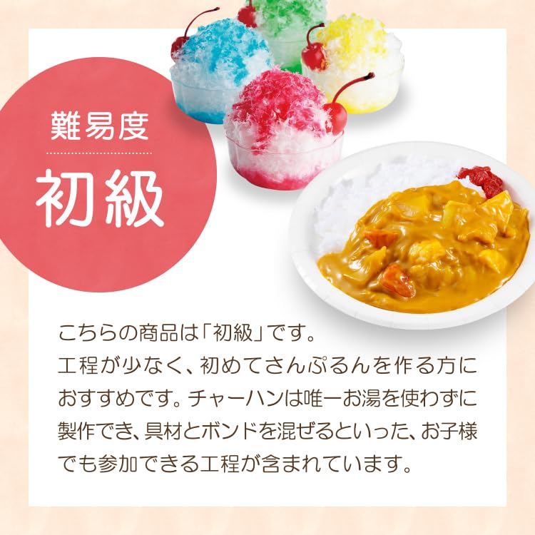 Original Food Sample Shop DIY Food Sample Kit Samplerun 5 Curry Made with Safe Materials for Replica DIY Crafts [Official] Vol. Rice, Kids,