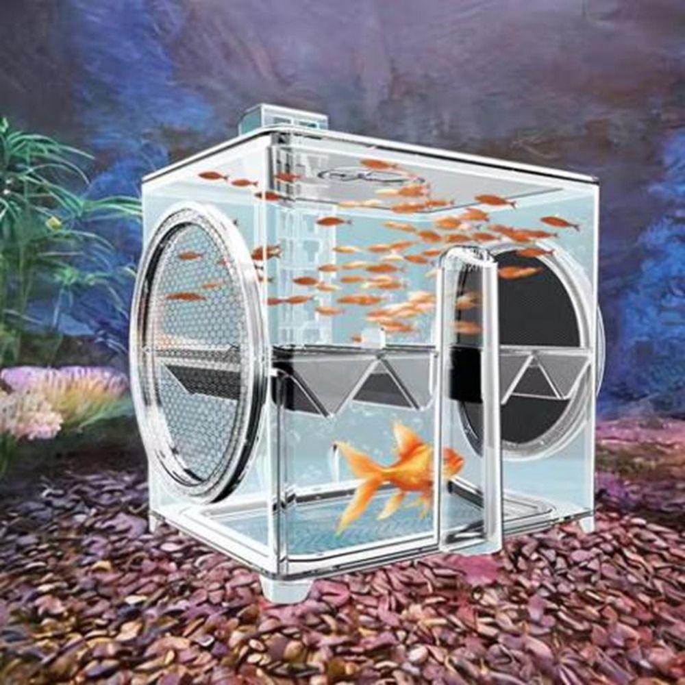 Pneumatic Fish Breeding Box Transparent Fish Isolation Box Suspended Incubator  Clownfish