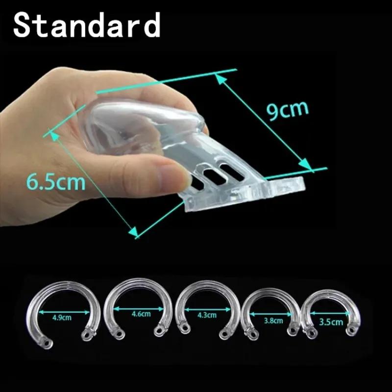 Male Chastity Cage Device Small/Standard Cock Cage with Rings Erotics Urethral Brass Lock Locking Sex Toys for Men Adults