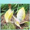 Realistic Insect Toy Model Collection For Kids And Education