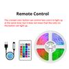 10m Usb 2835 Led Strip Light Rgb Remote Control Lights Flexible Lamp Tape Ribbon Tv Desktop Screen Back Light Diode Tape