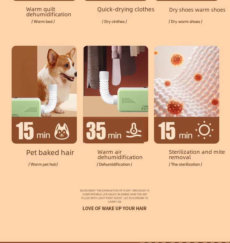 European Standard 110V Multi-Functional Dryer: For Shoes, Gloves, and Pet Mite Removal