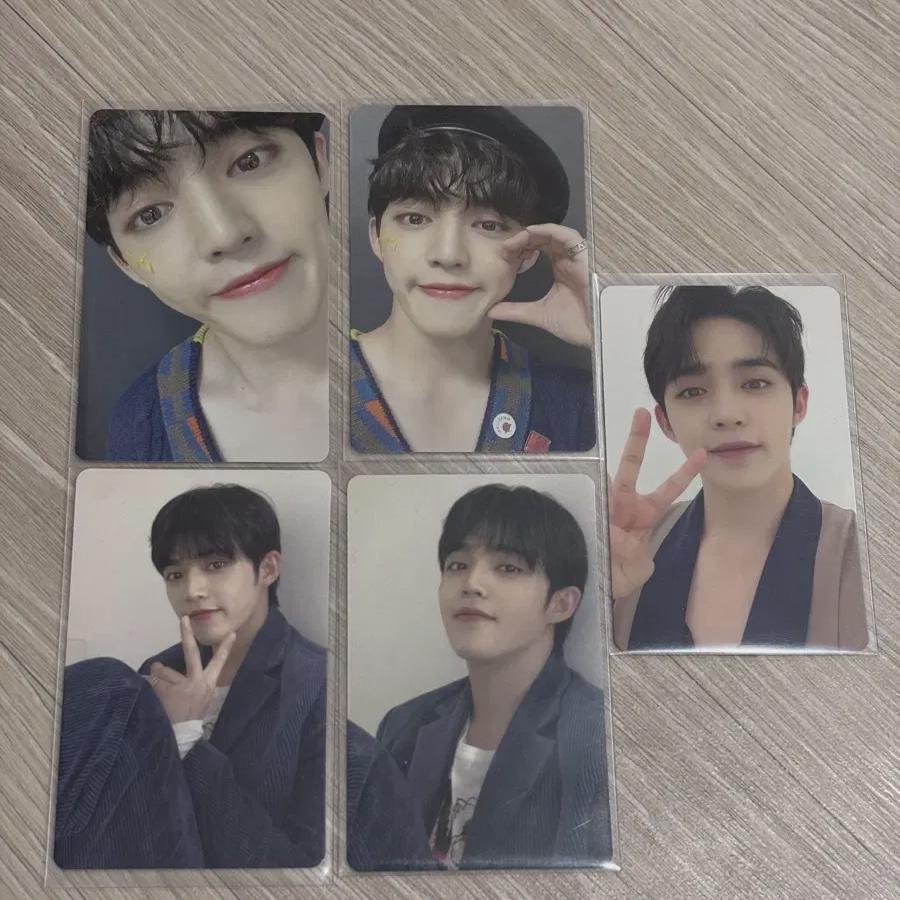 

Seventeen Pauline Flower Folple S.coups Photo Cards Bulk Sell