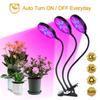LED Full Spectrum Phytolamps USB Grow Light with Timer Control Desktop Clip Phyto Lamps for Plants Seedling Flowers Grow Box