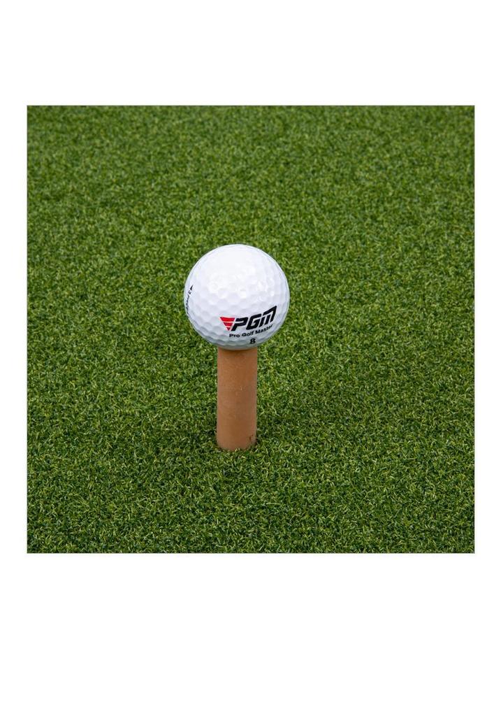Qingzhou Personal Golf & Baseball Practice Mat for Home Training