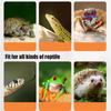 Curved Long Holder Turtle Basking Lamp Clip-on Lamp Holder Pet Heat Bulb  Temperature Controller