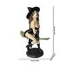 Beauty Sexy Witch Bookshelf Figurine Resin Gothic Dark Witch Riding On Mysterious Seductive Hooded Figurine Statue