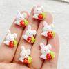20pcs Resin Cartoon Strawberry Rabbit Nail Art Flat back Rhinestone Bead Scrapbook DIY Manicures Appliques Accessories Crafts