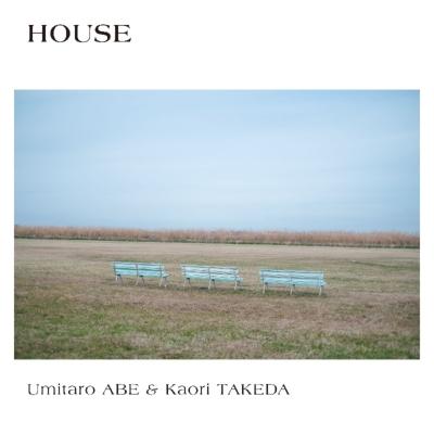 

LP Record UMITARO ABE, KAORI TAKEDA - HOUSE DDCM98002 Theatre Musica 2024 Japan Japanese Pop/Rock